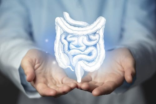 iStock 1360862667 e1693862655281