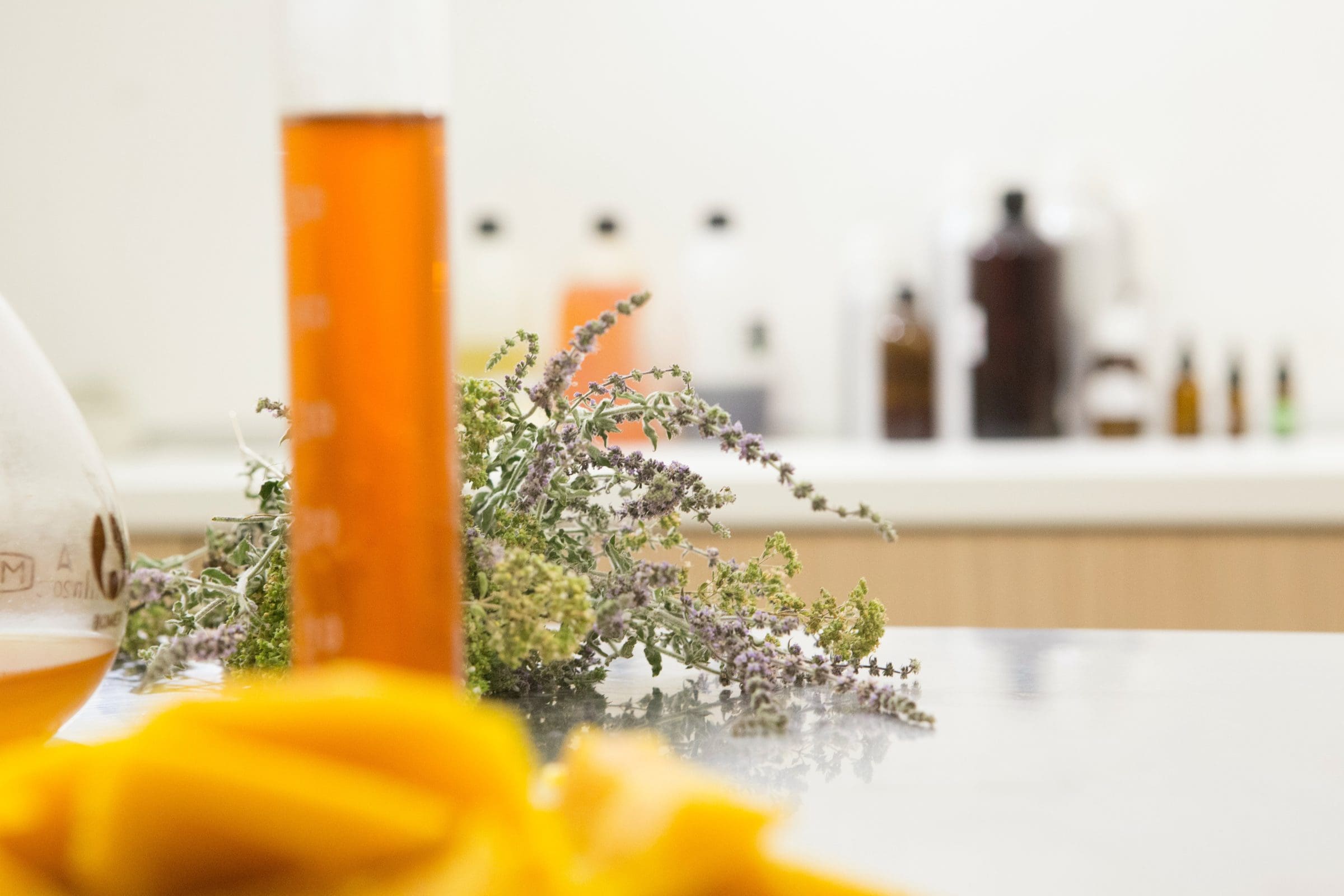 bee naturalles jzuFImyw yU unsplash