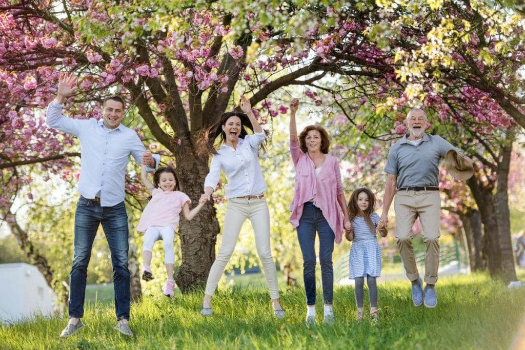how do you make a raspberry smoothie and stay healthy as we age