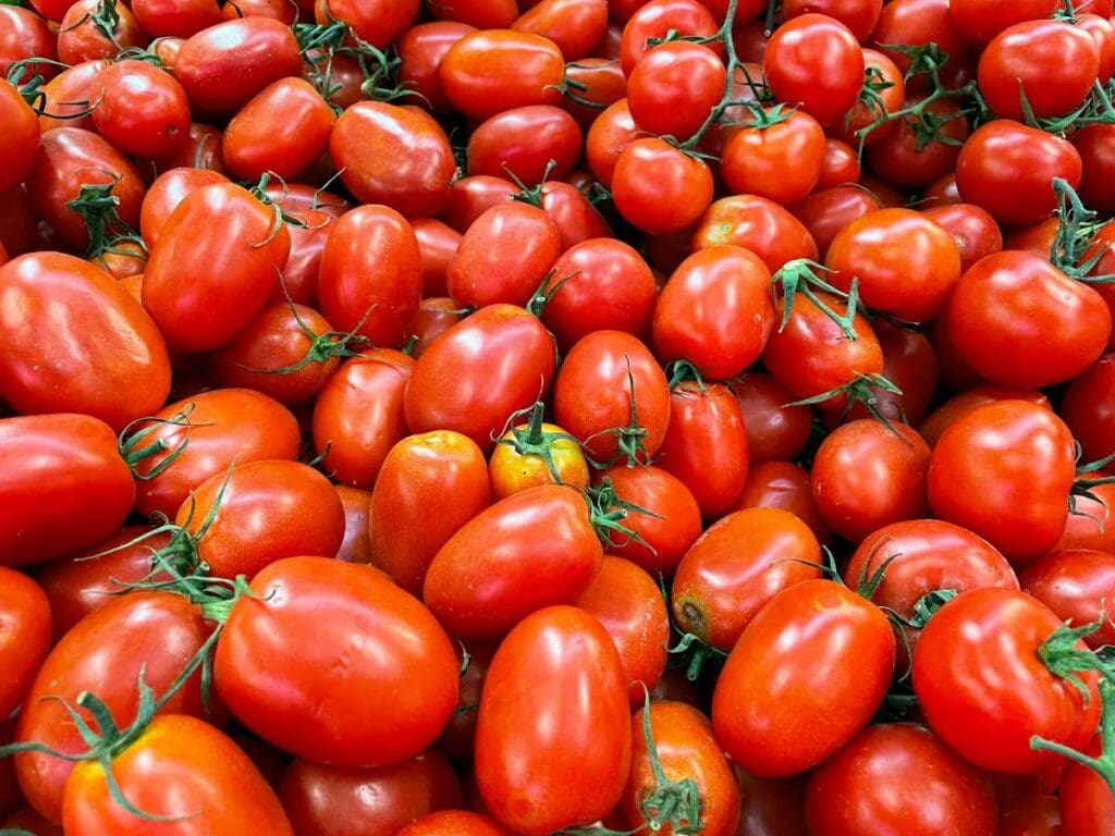 eddie pipocas gk6JPxwK5zE unsplash Tomatoes RESIZED