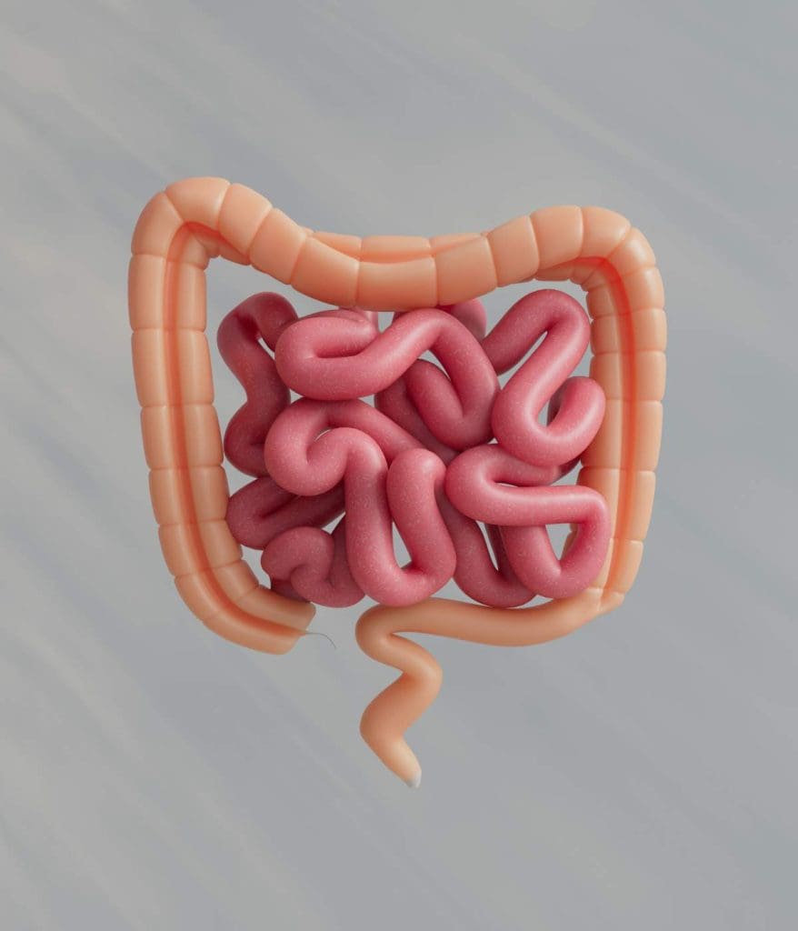 Discover best probiotics for skin and gut health, to heal skin inflammation and boost skin health from within