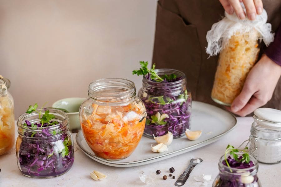 best probiotics for travelling. Discover the best probiotic for travel