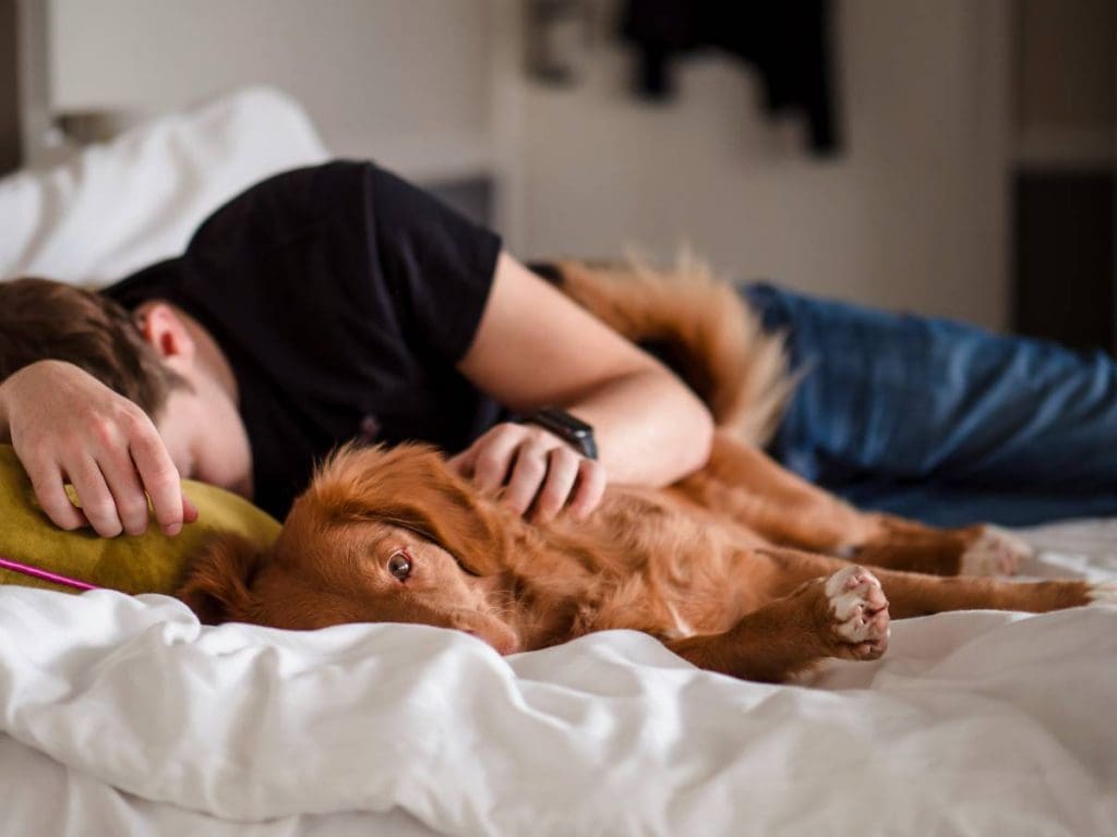 Probiotics for sleep