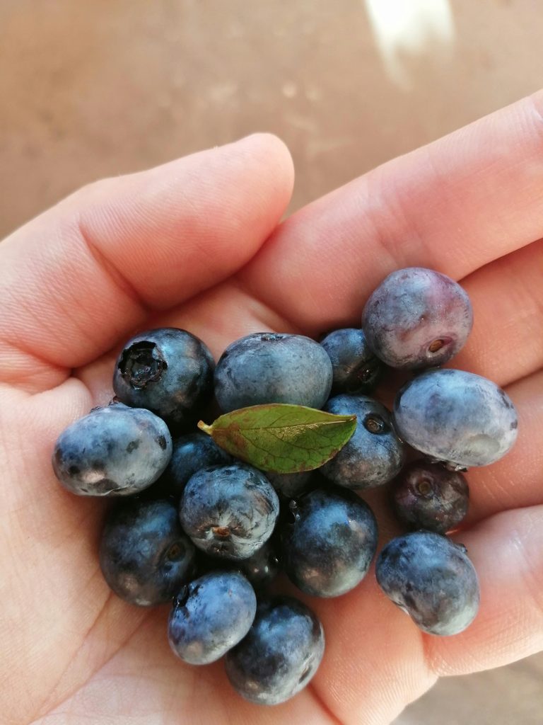 Enjoy blueberry kefir smoothie benefits