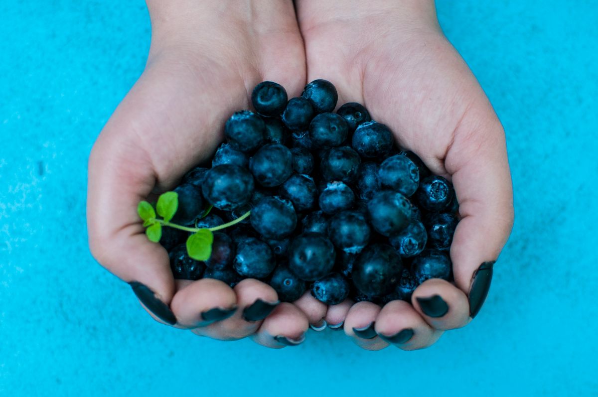 Delicious blueberry kefir smoothie and gut healthy blueberry kefir