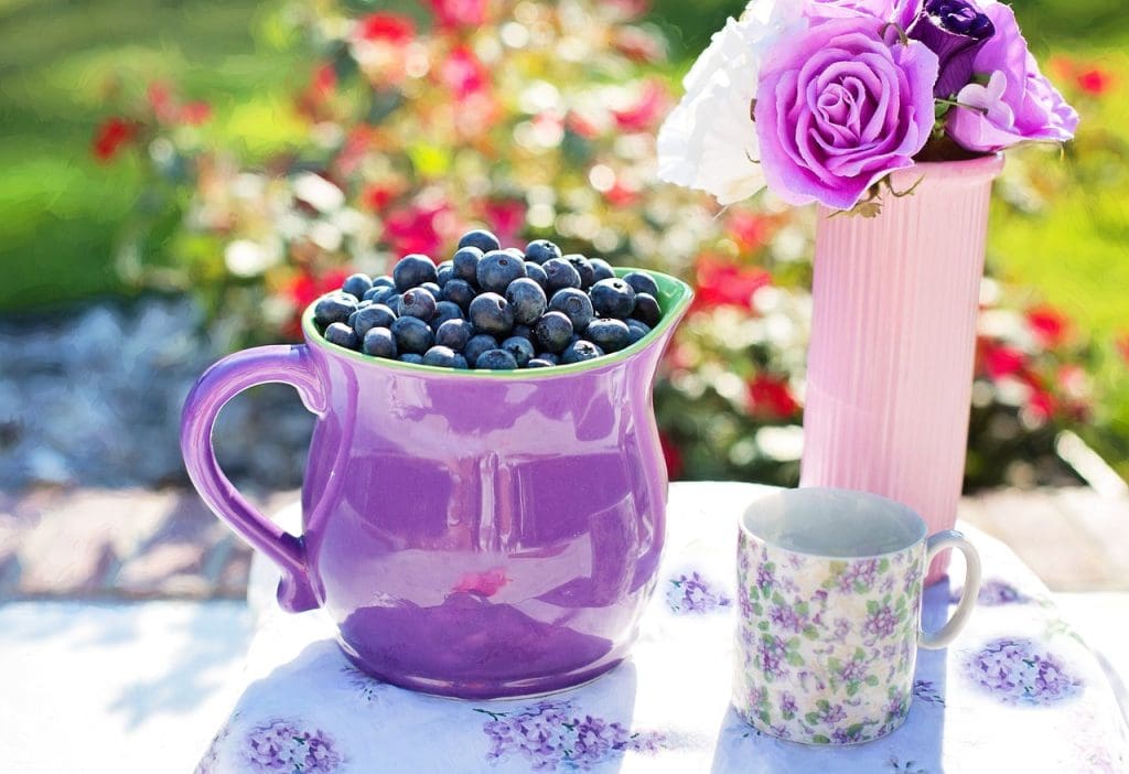 The best banana blueberry smoothie for gut health. Discover the anti-inflammatory blueberry kefir smoothie with gut healthy prebiotics. Enjoy our kefir smoothie for gut health
