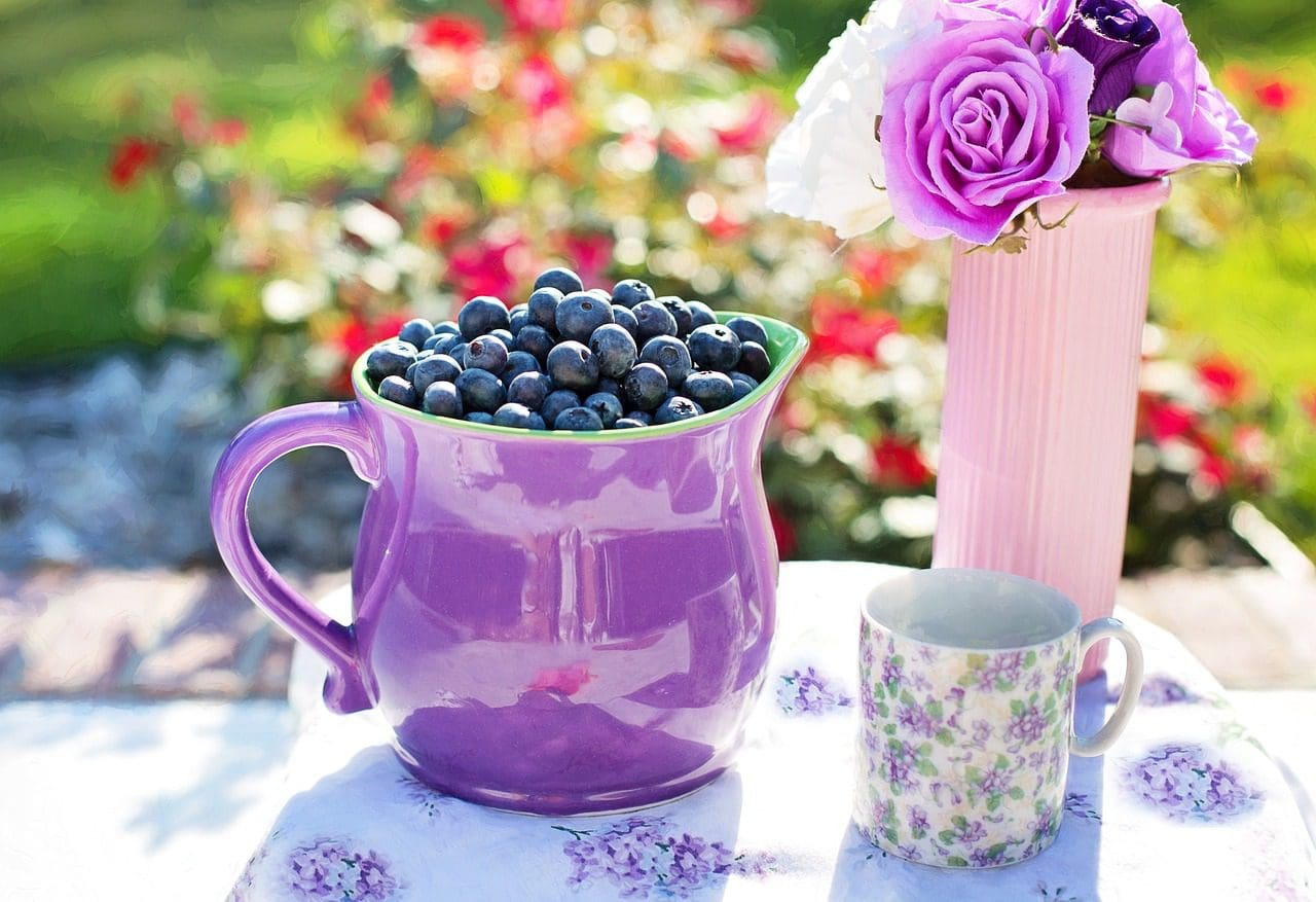 The best banana blueberry smoothie for gut health. Discover the anti-inflammatory blueberry kefir smoothie with gut healthy prebiotics. Enjoy our kefir smoothie for gut health