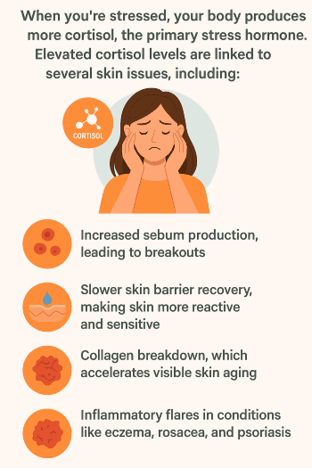 My favourite gut healthy supplements: L reuteri skin and stress problems. Discover Wwhy L reuteri is a top skin and gut healthy supplement