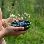 blueberry kefir recipe and blueberry kefir smoothie