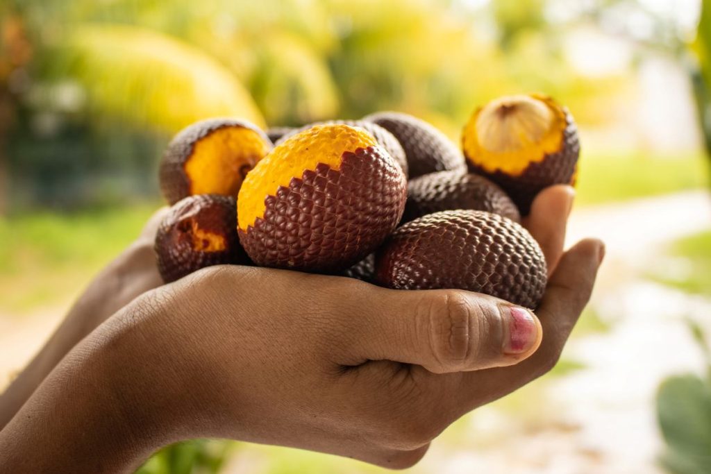Buriti Skin microbiome natural oil sensitive skin