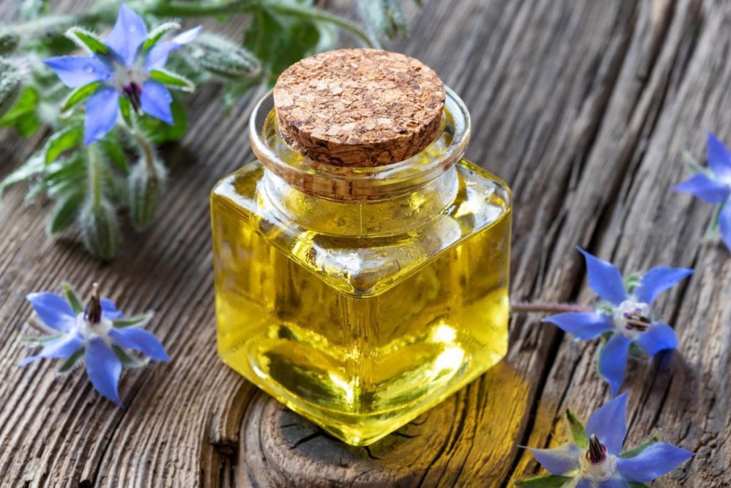 Borage oil - Skin microbiome skincare for sensitive, mature acne prone skin